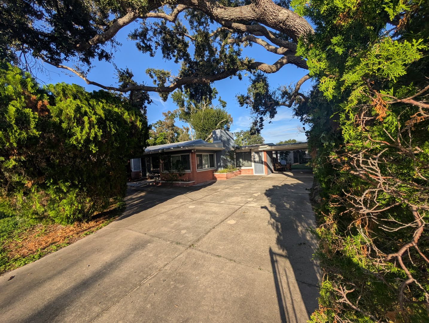 Charming Sarasota Home with Guest House, Extra Storage, and Plenty of Parking! – photo 1