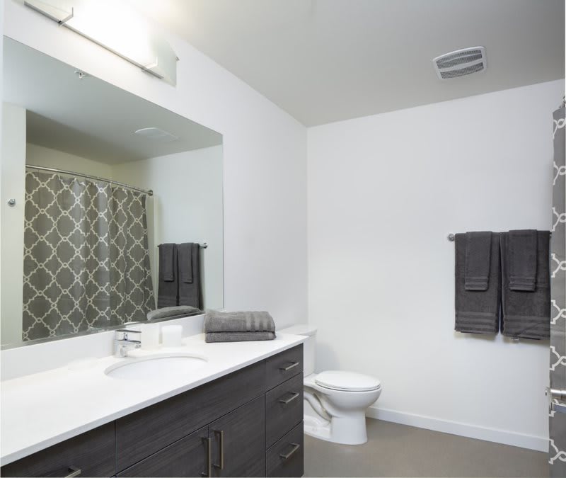 Nine and Pine Apartments – photo 4