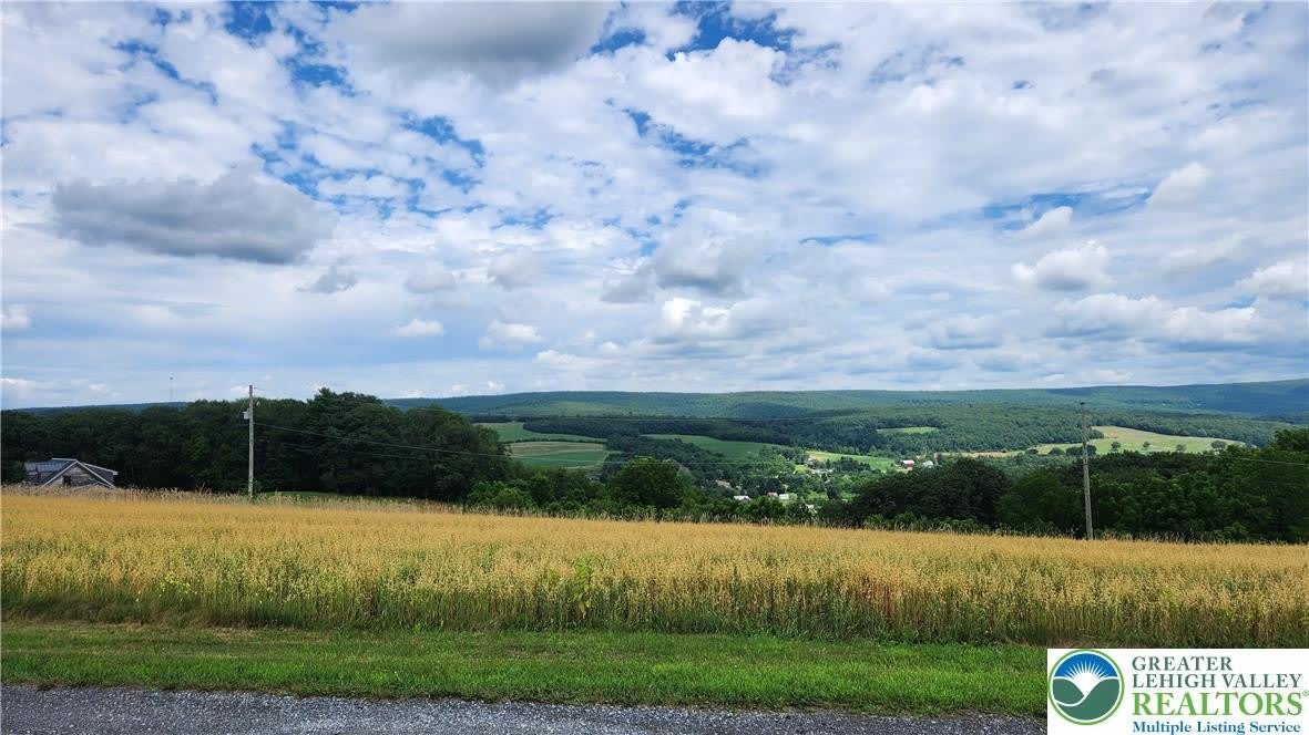 185 Ridge Cup Road – photo 5