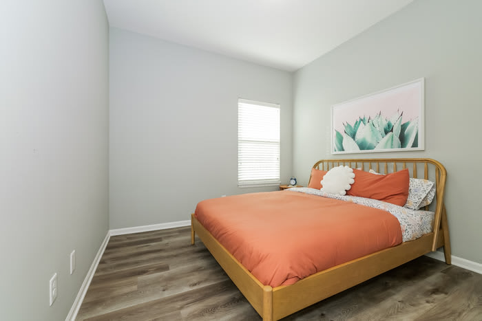 800 Pampas Street – photo 5