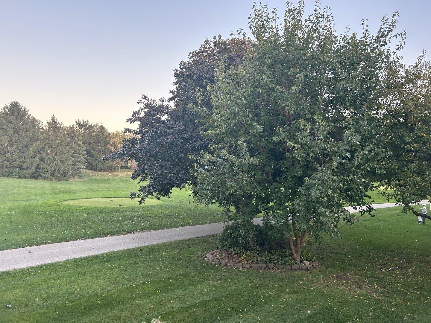 2361 Legacy Drive – photo 3