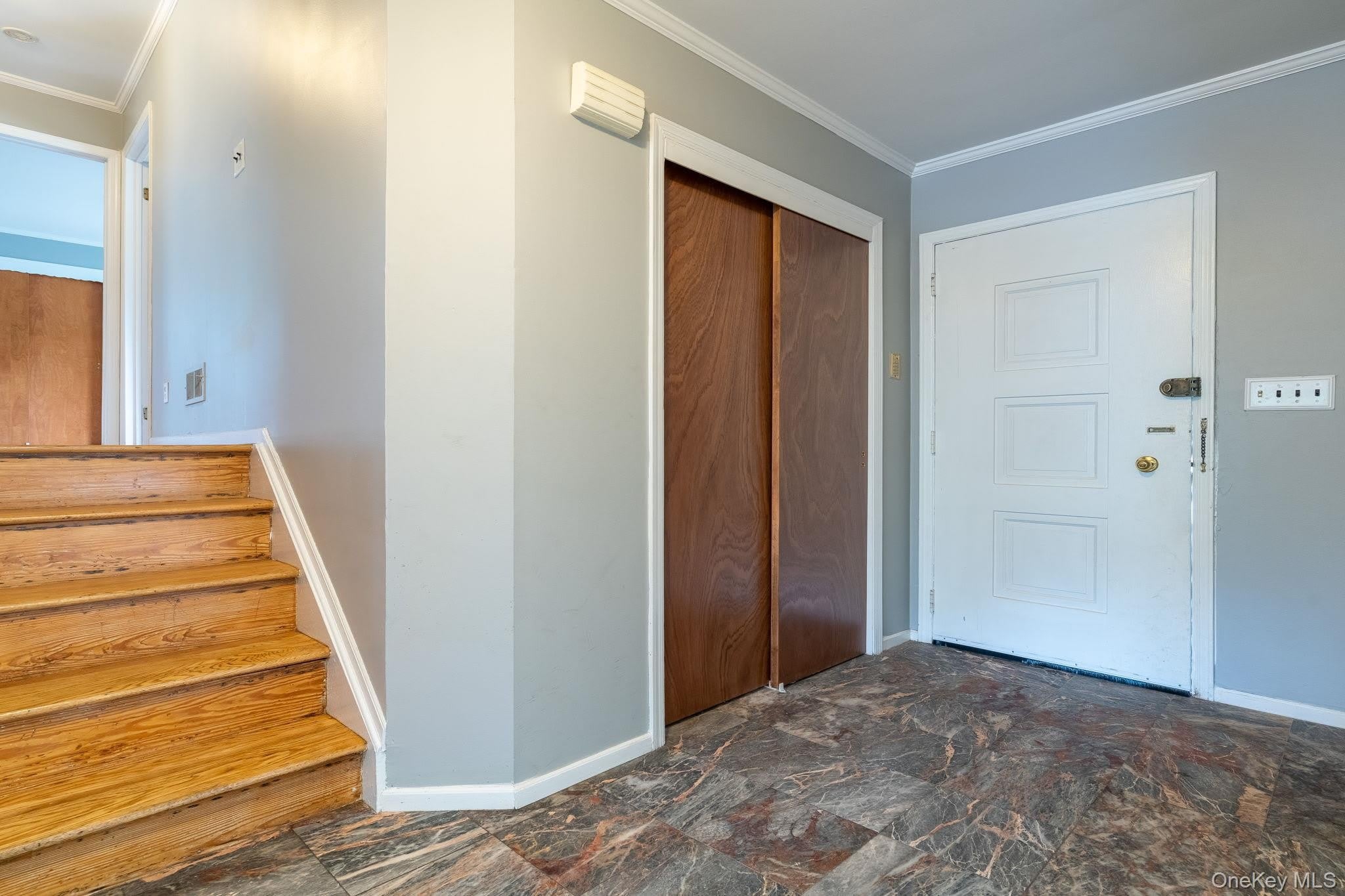 67 Malvern Lane – photo 3