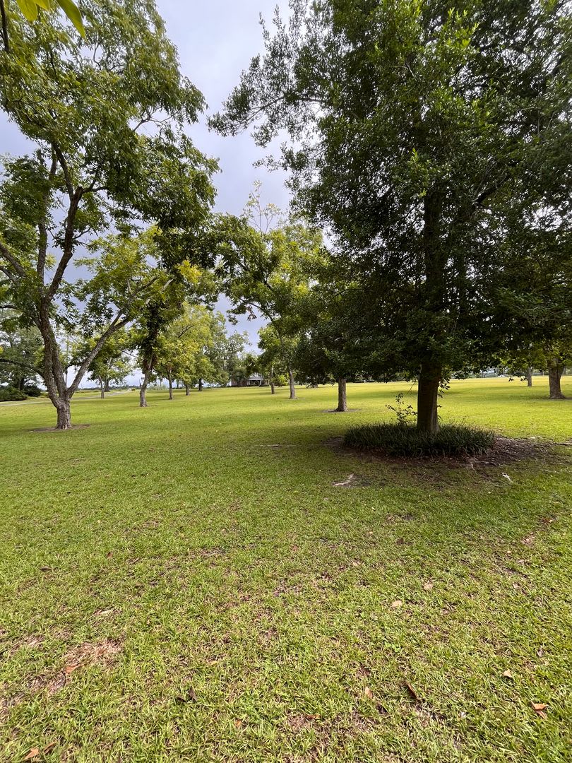 North Lowndes County Home – photo 4