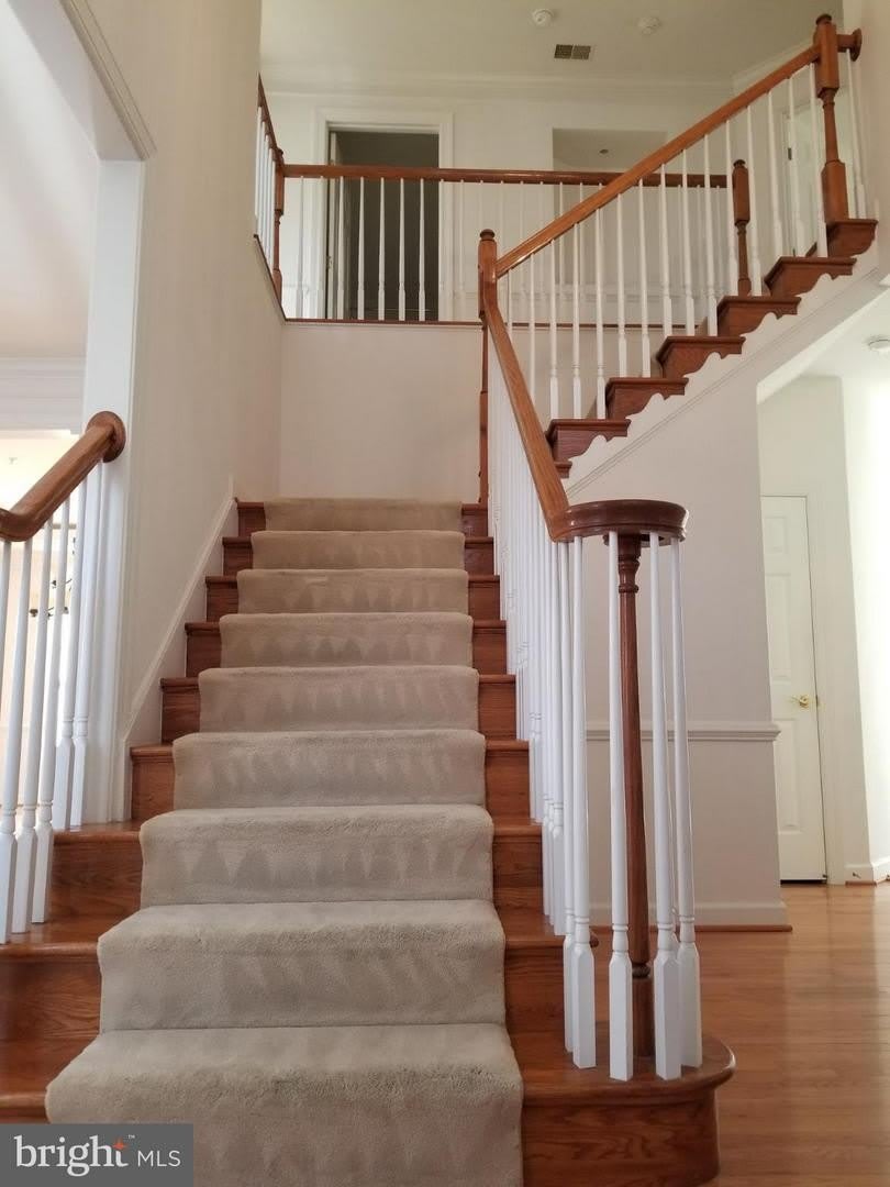 4415 MEDALLION DR – photo 3