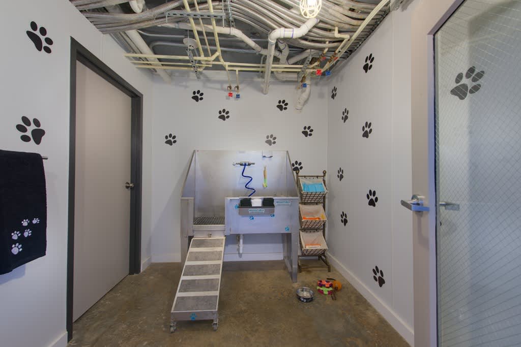 The Metropolitan – photo 5