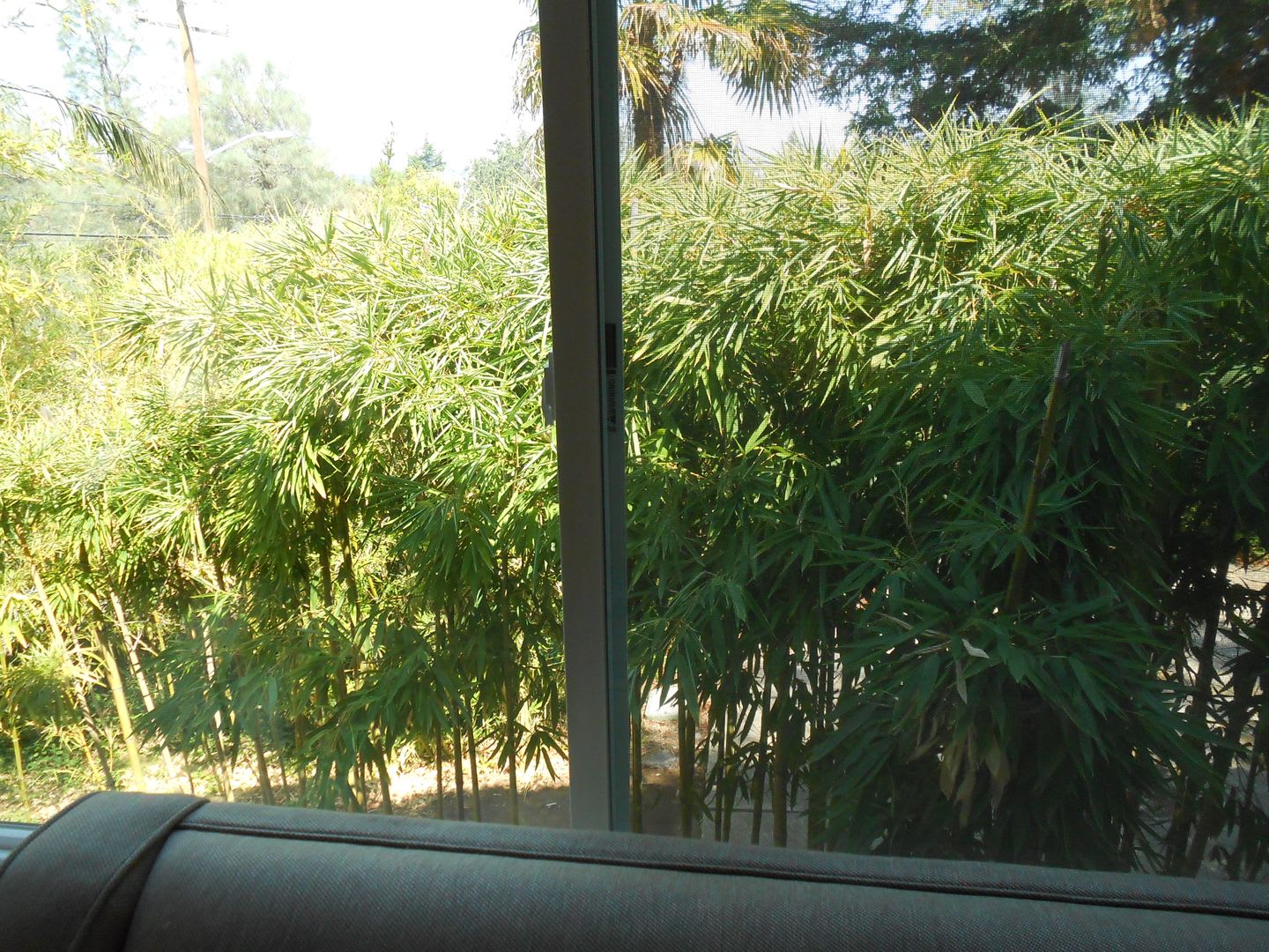Furnished Studio Available For Move In – photo 4