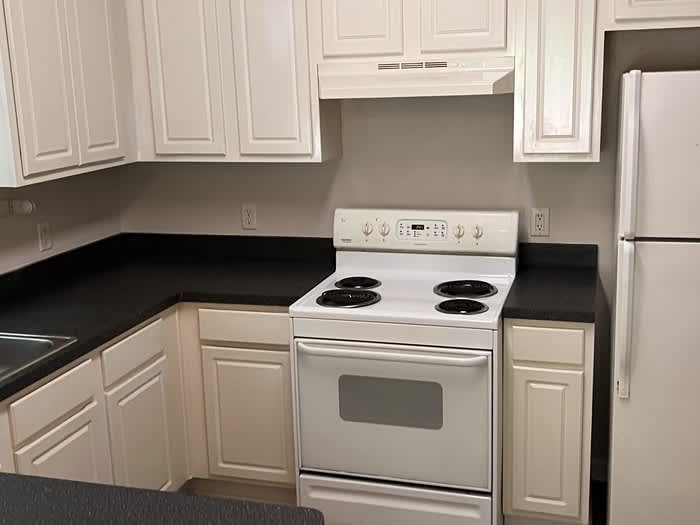 3940 Stutz Street – photo 3