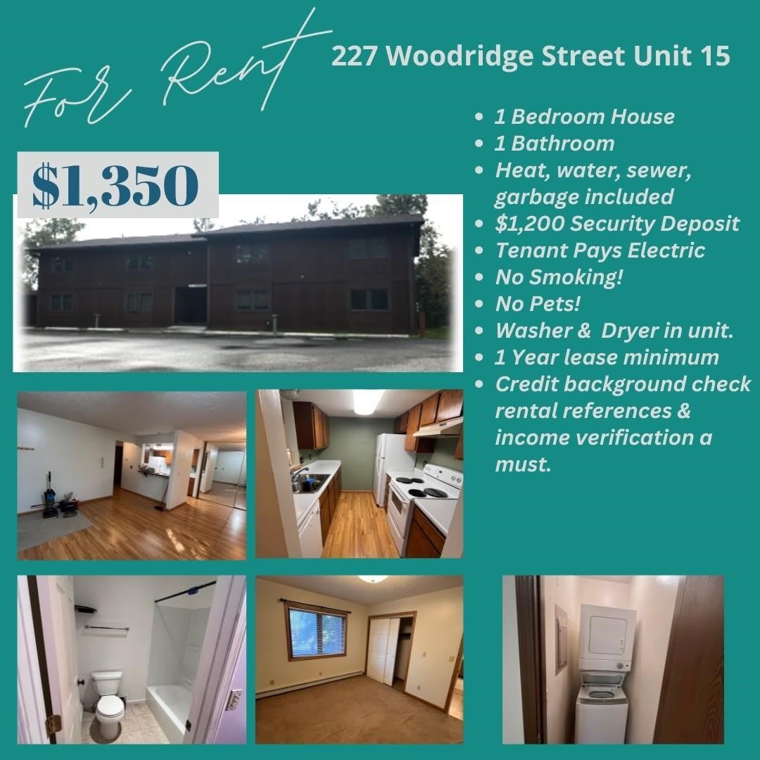 227 WOODRIDGE STREET – photo 1