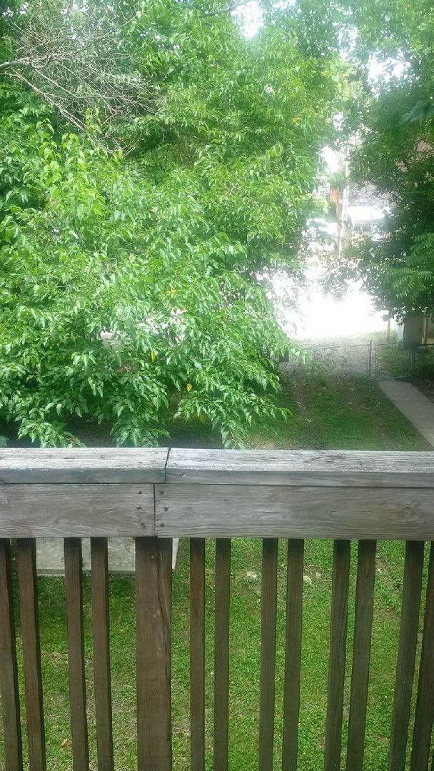 Directly Behind The Elm Restaurant Beautiful 4 Bd 2 Ba Home – photo 5
