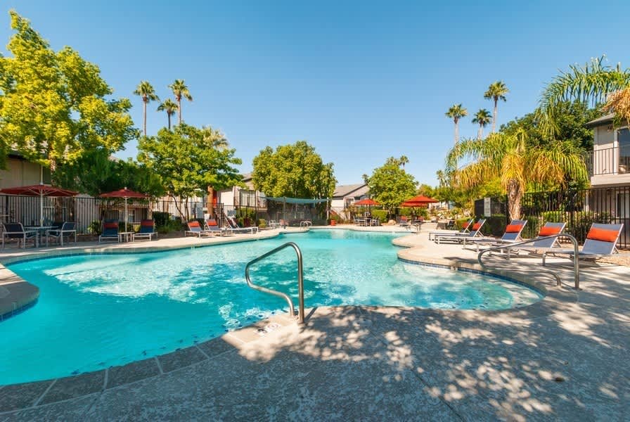 Palms at South Mountain – photo 3
