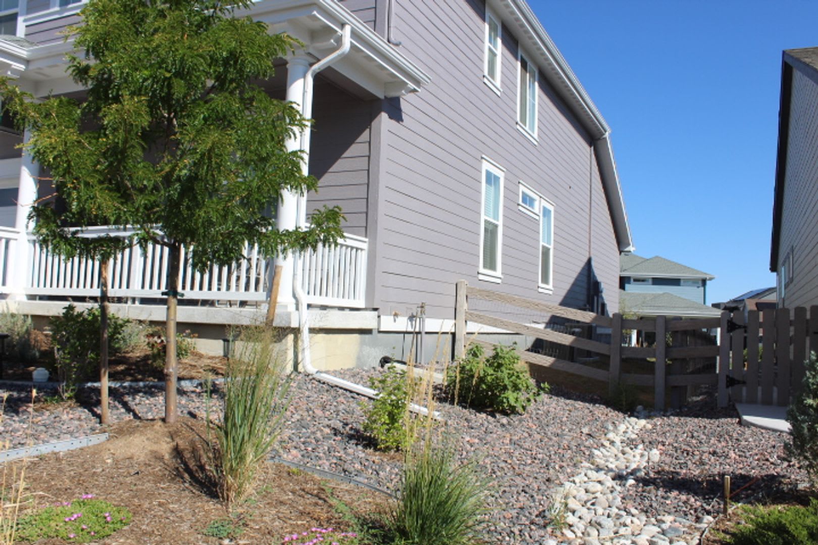 Sterling Ranch Home 3 BR/2 1/2 BA! – photo 3