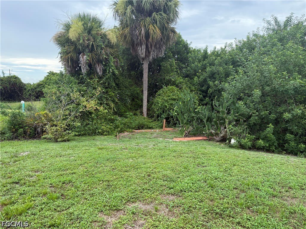 635 Alabama Road S – photo 5