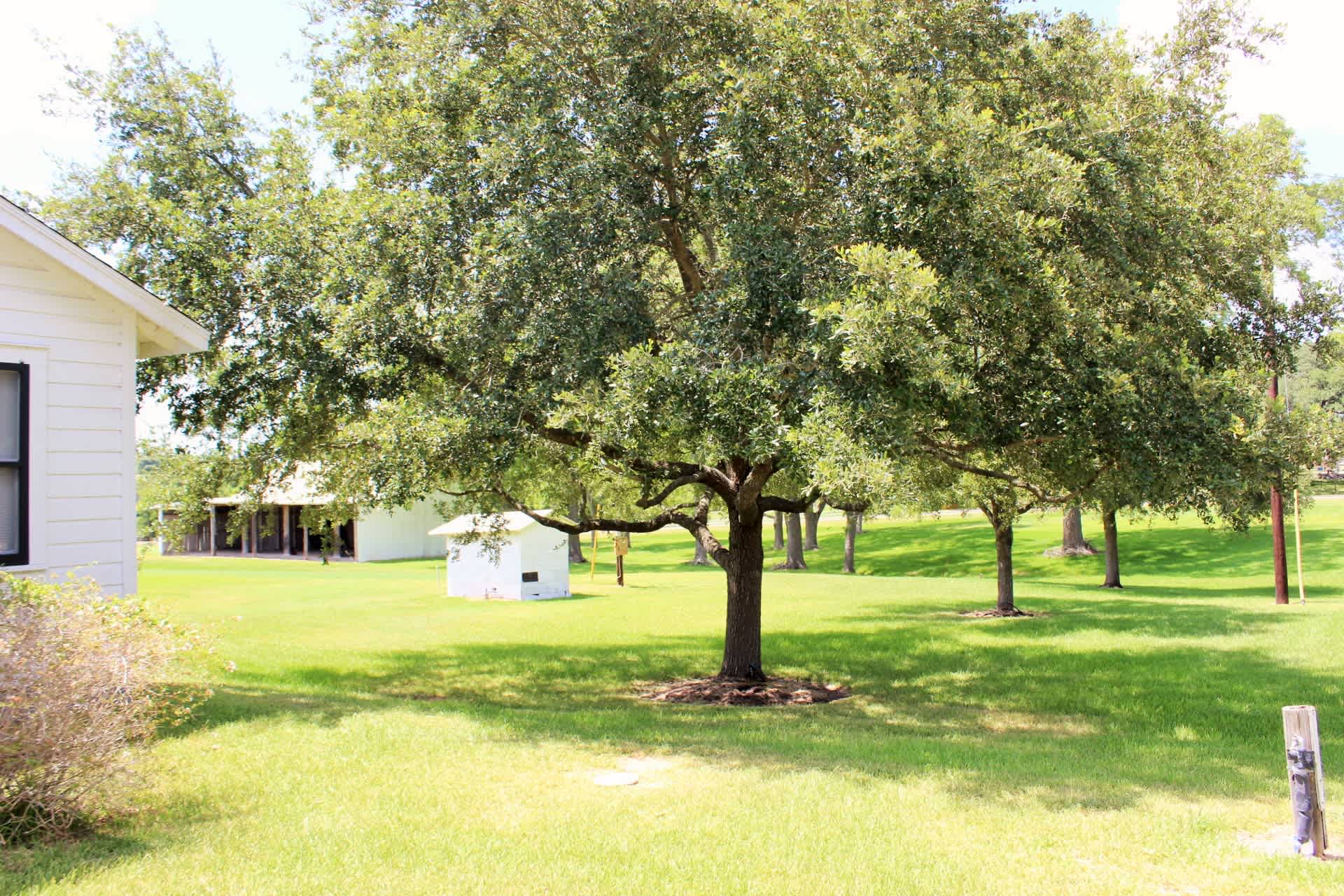10301 FM 50 – photo 5