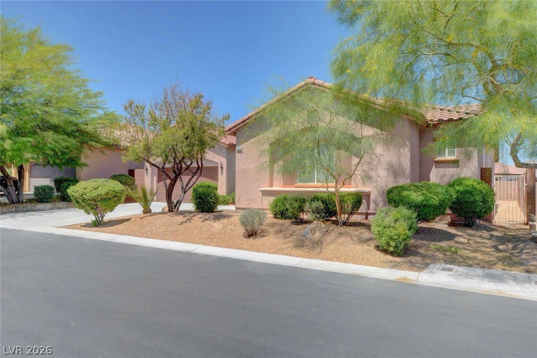 10214 Elk Valley Street – photo 2