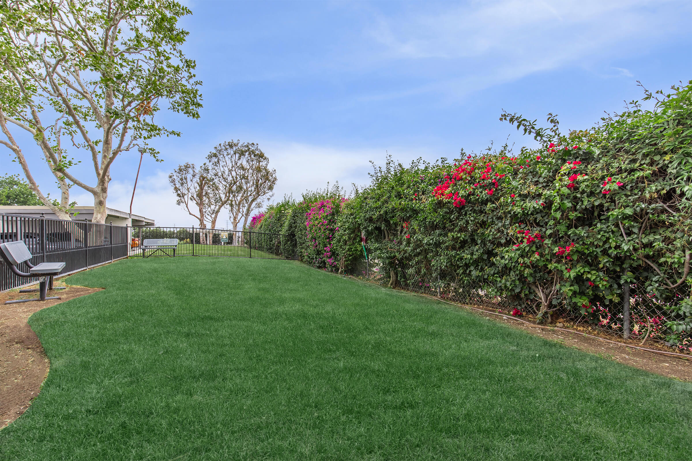 Aspire Corona – photo 4