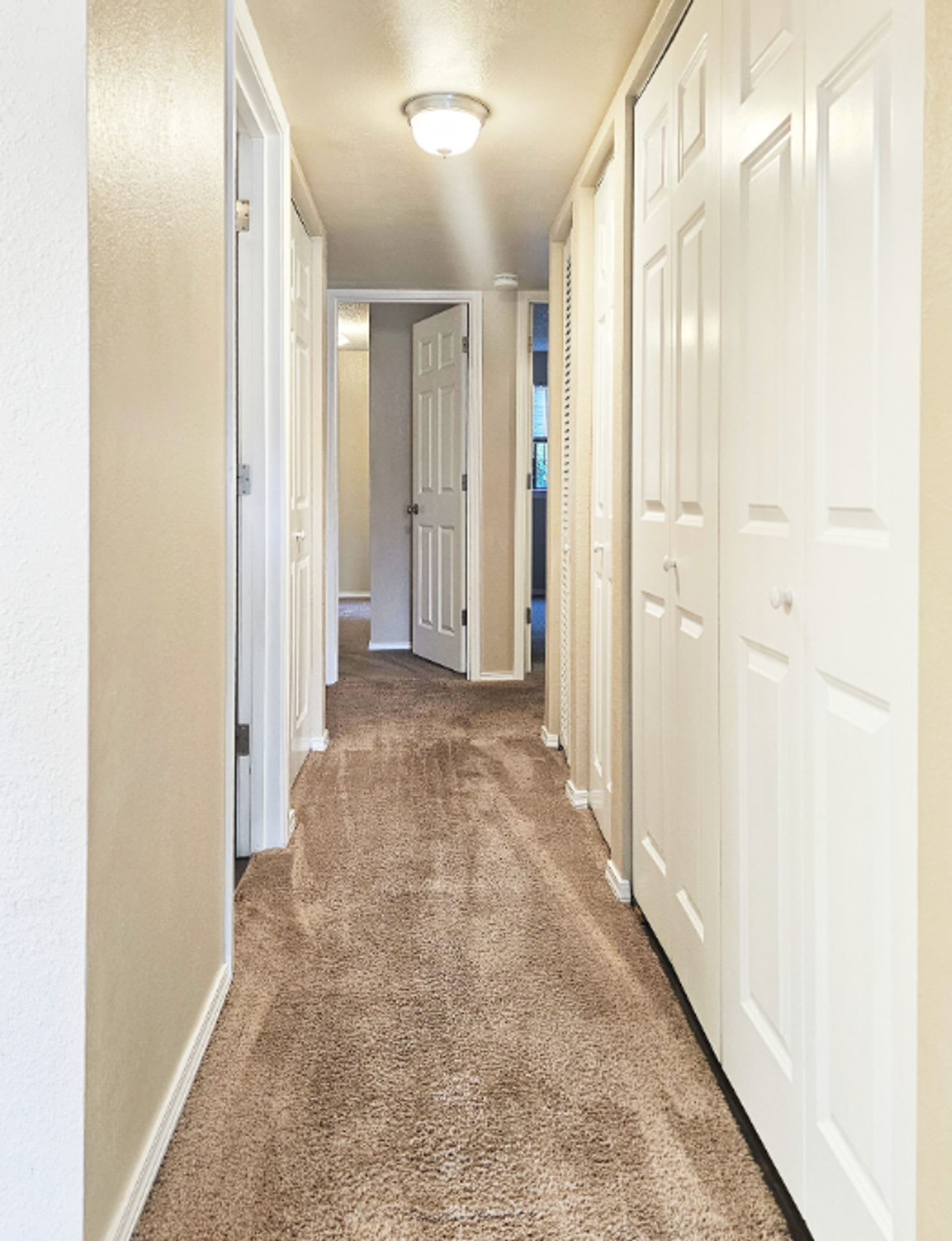 Orchard Park Apartments – photo 4