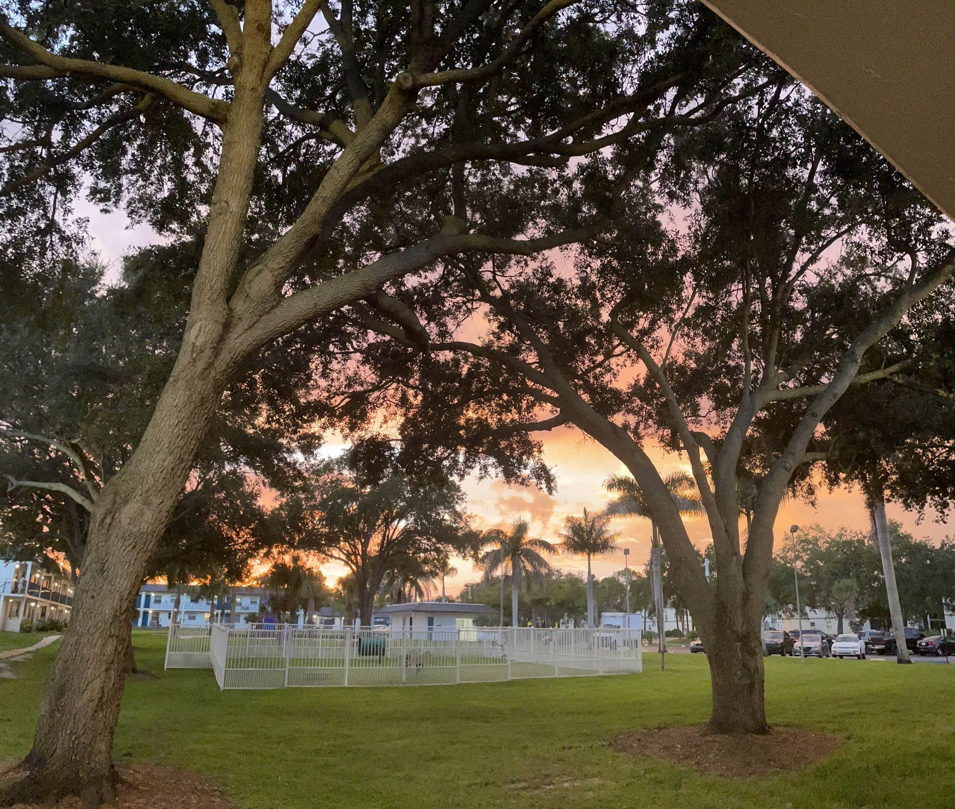 Park On Central Apartments – photo 4
