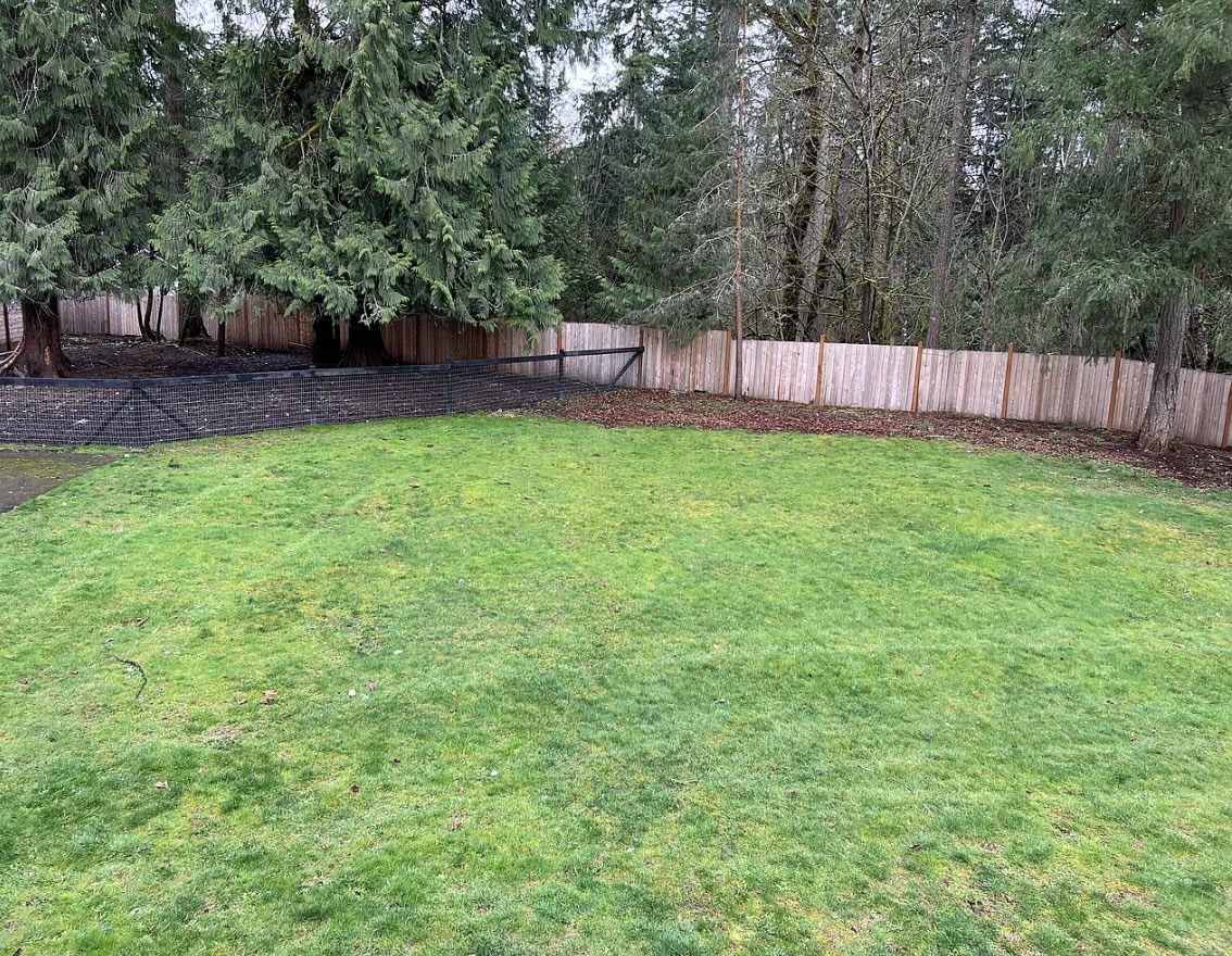 19209 Southeast 324th Street – photo 5