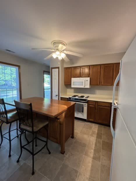 14604 Mill Spring Drive – photo 3