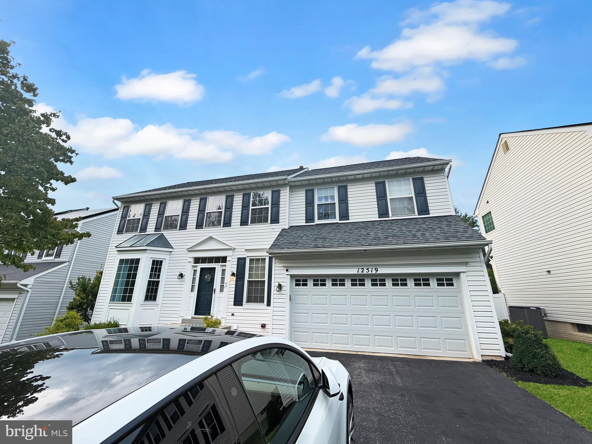 12519 ROYAL CROWN Drive – photo 2