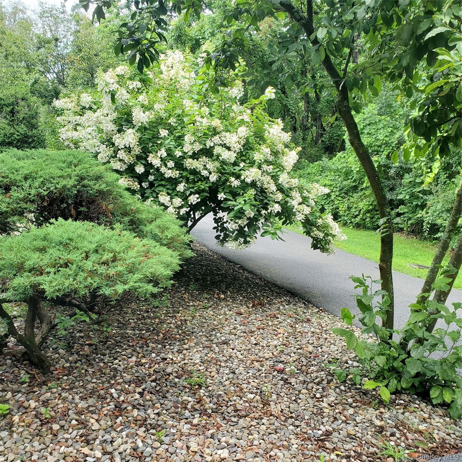 160 West Road – photo 2