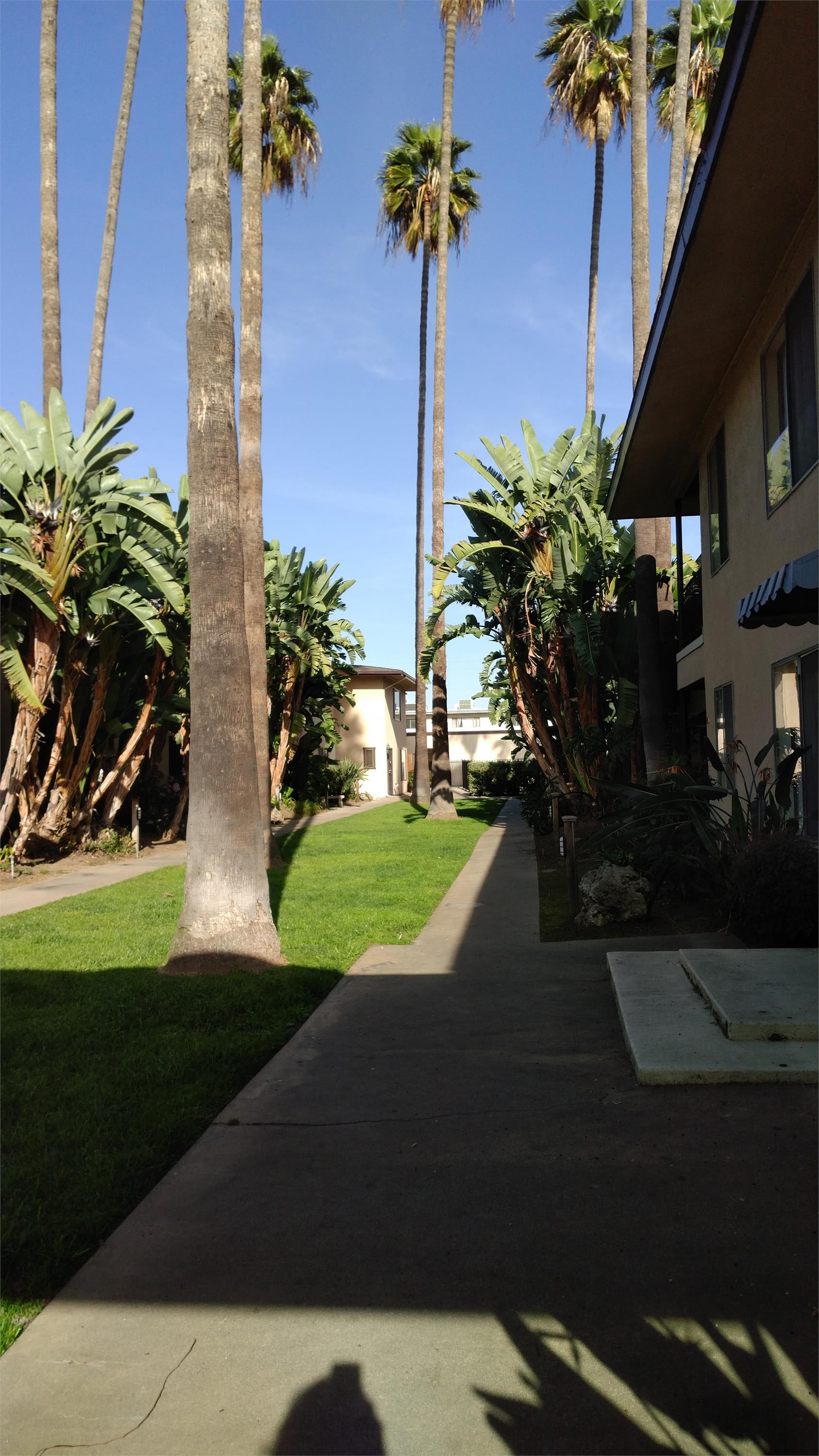 826 N Barranca – photo 2