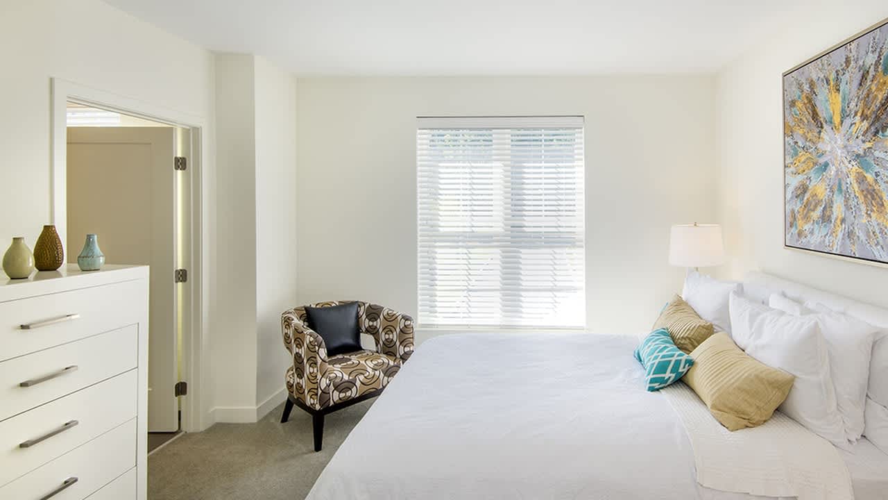 Modera Needham – photo 5