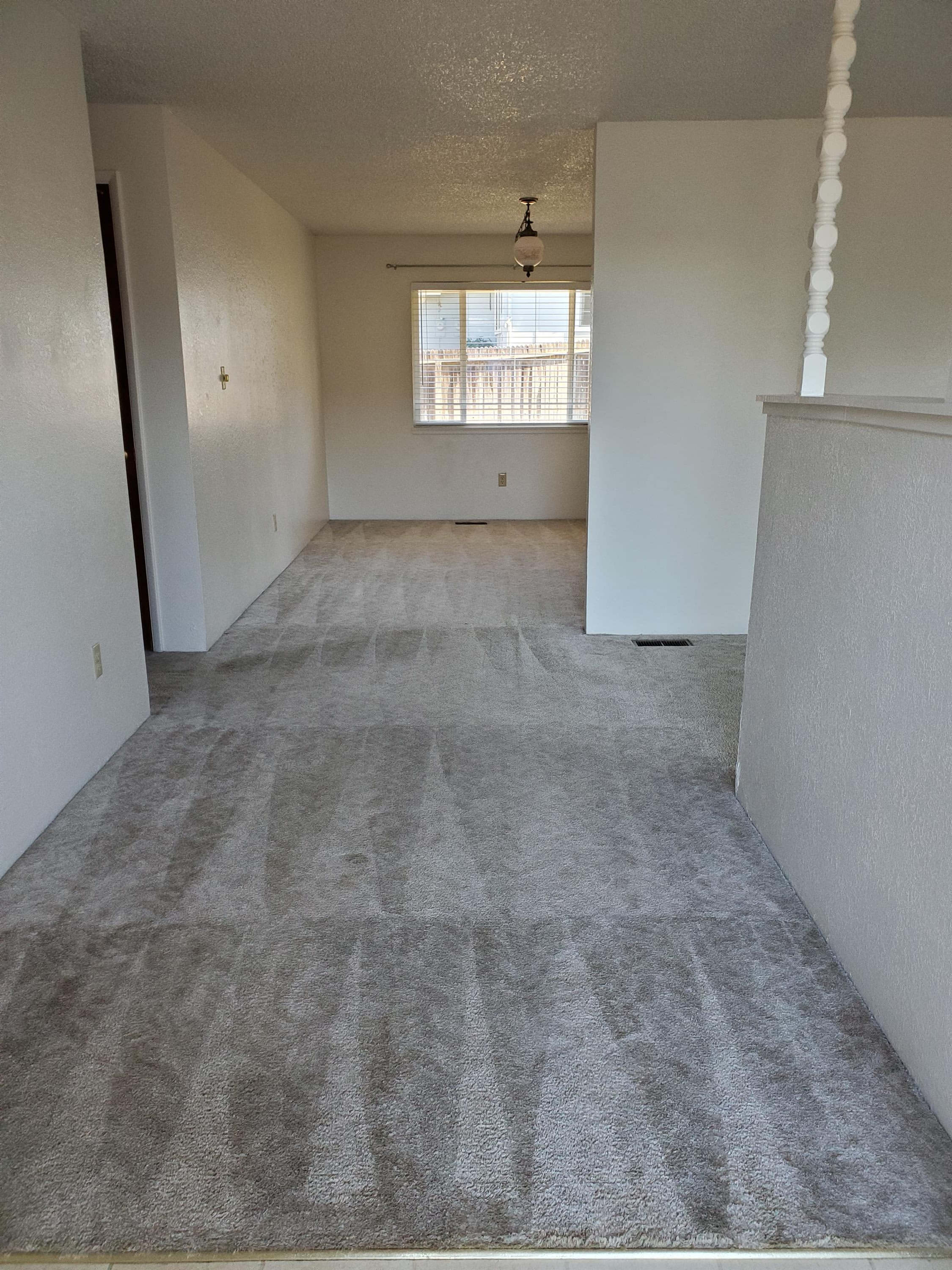2467 Hawkins St – photo 2