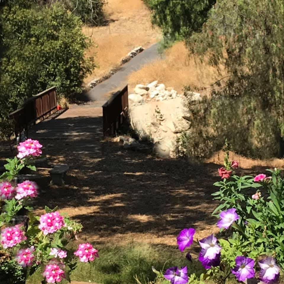 14519 Rios Canyon Road, #b – photo 5