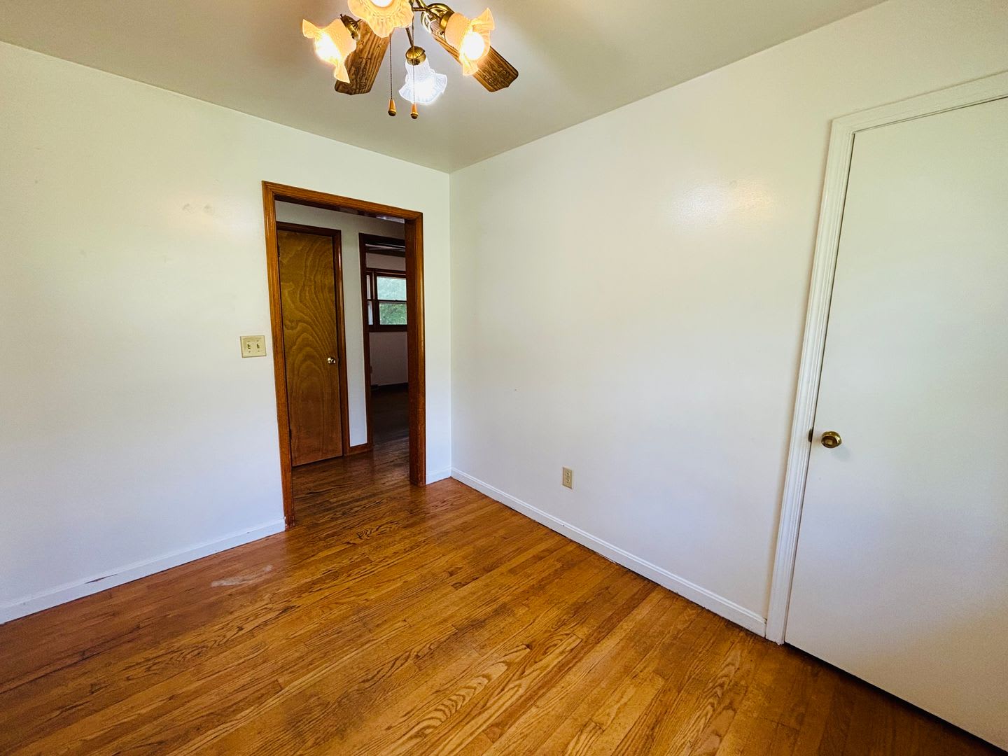 3 Bedroom, 1 Bath House – photo 5