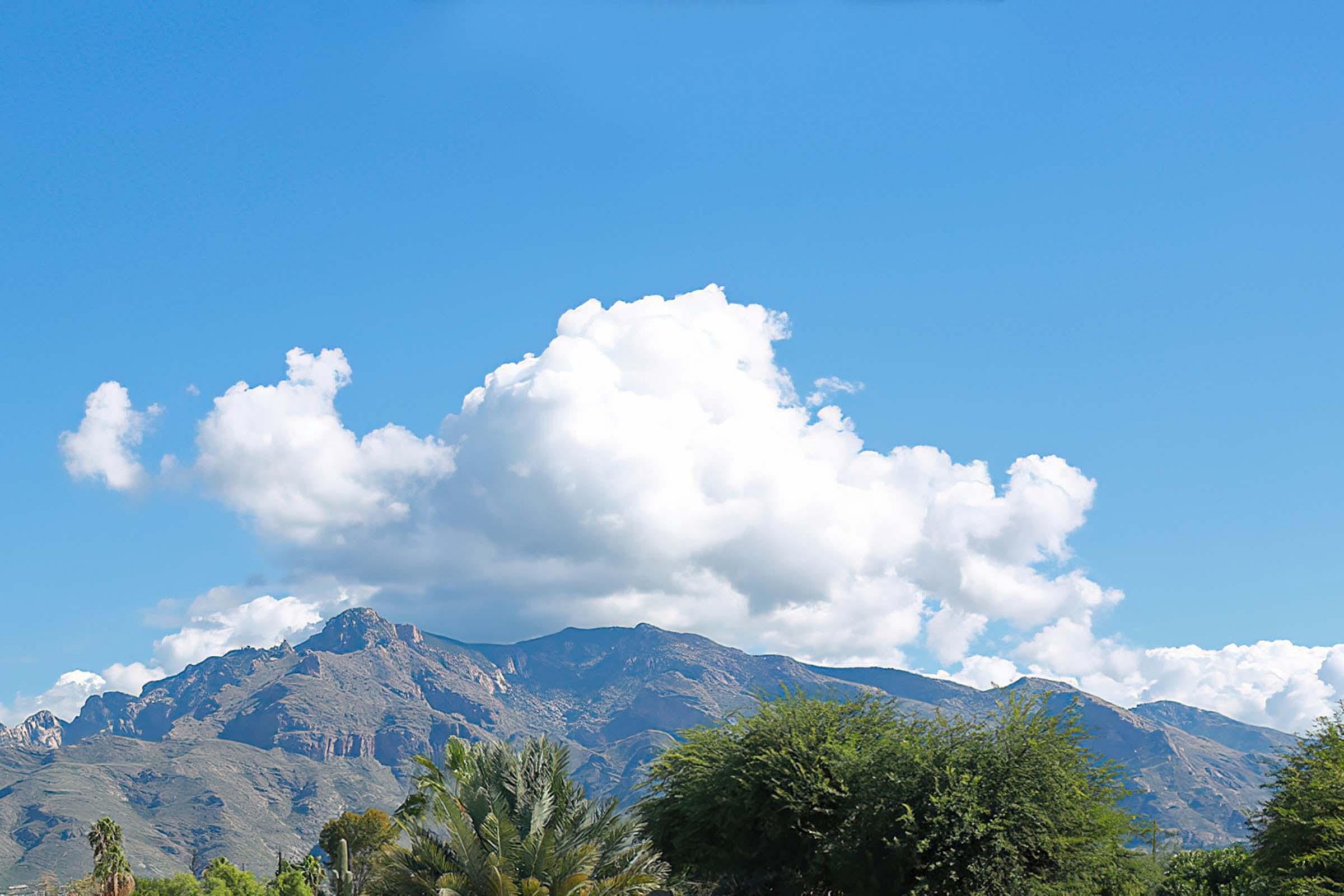 Mountain Village Apartments – photo 4