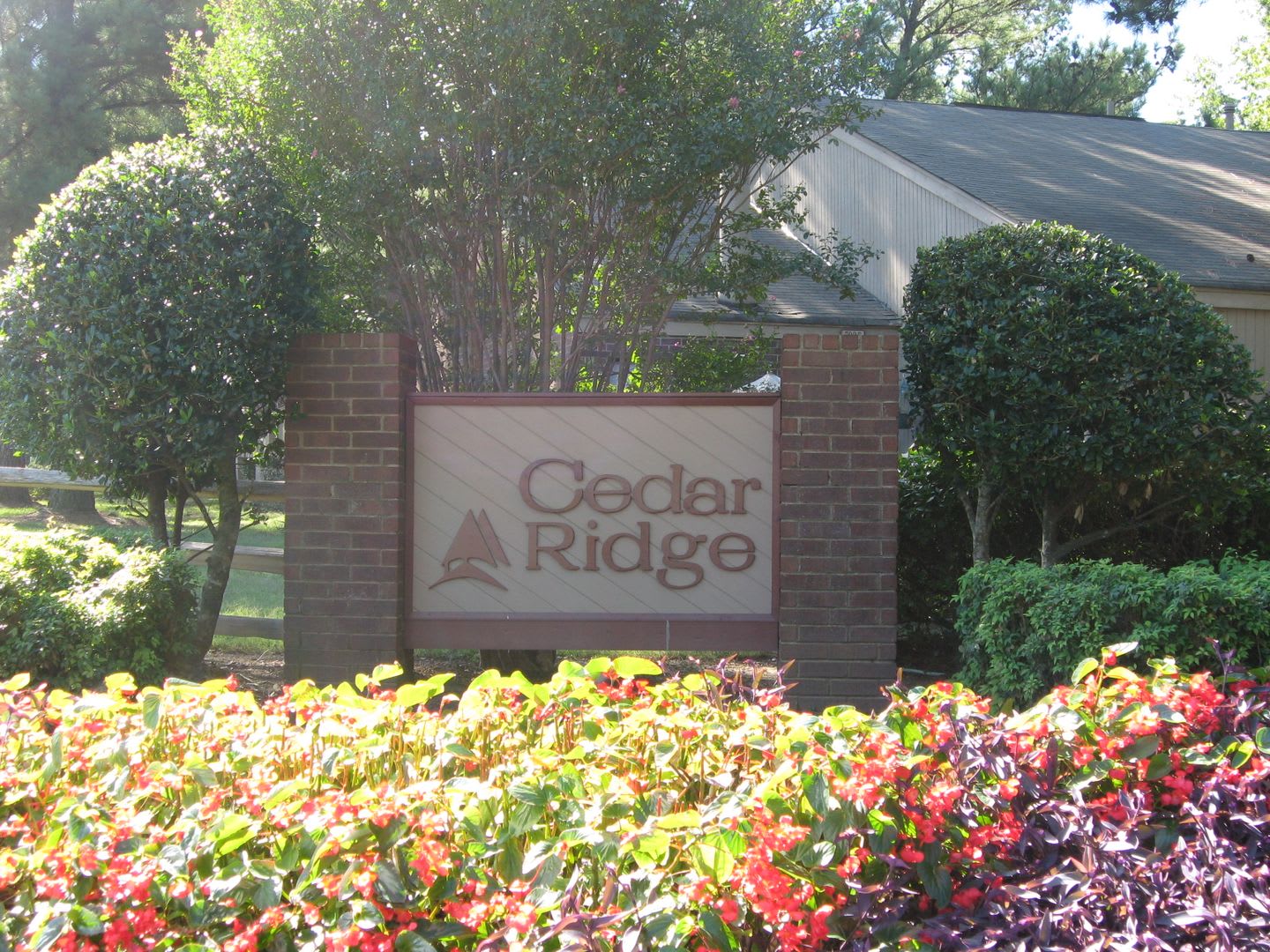 Cedar Ridge – photo 4
