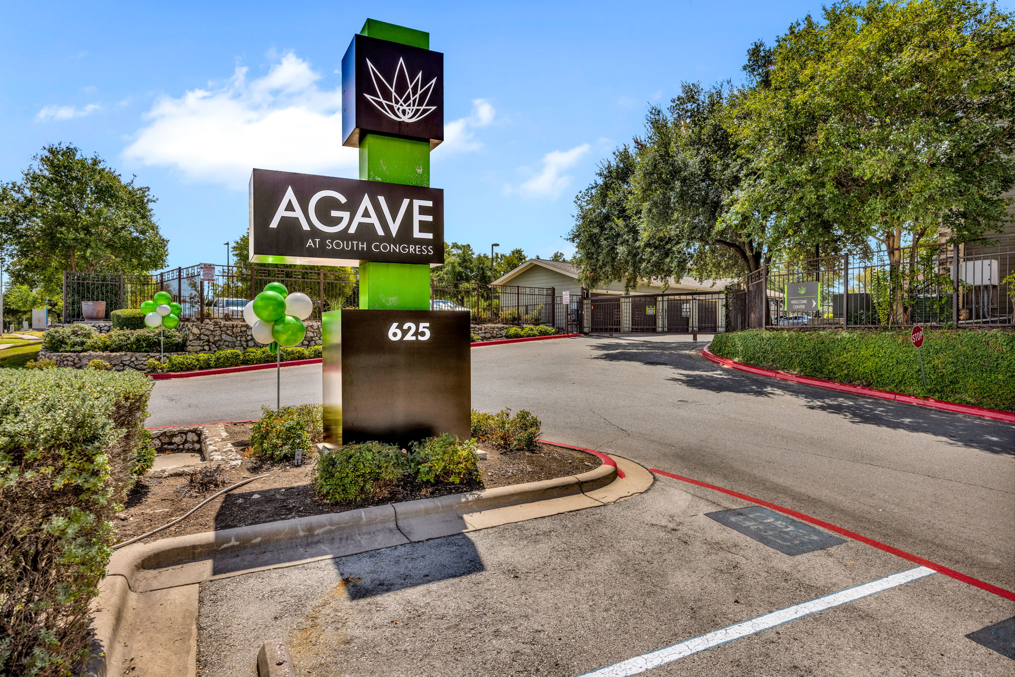 Agave at South Congress – photo 3