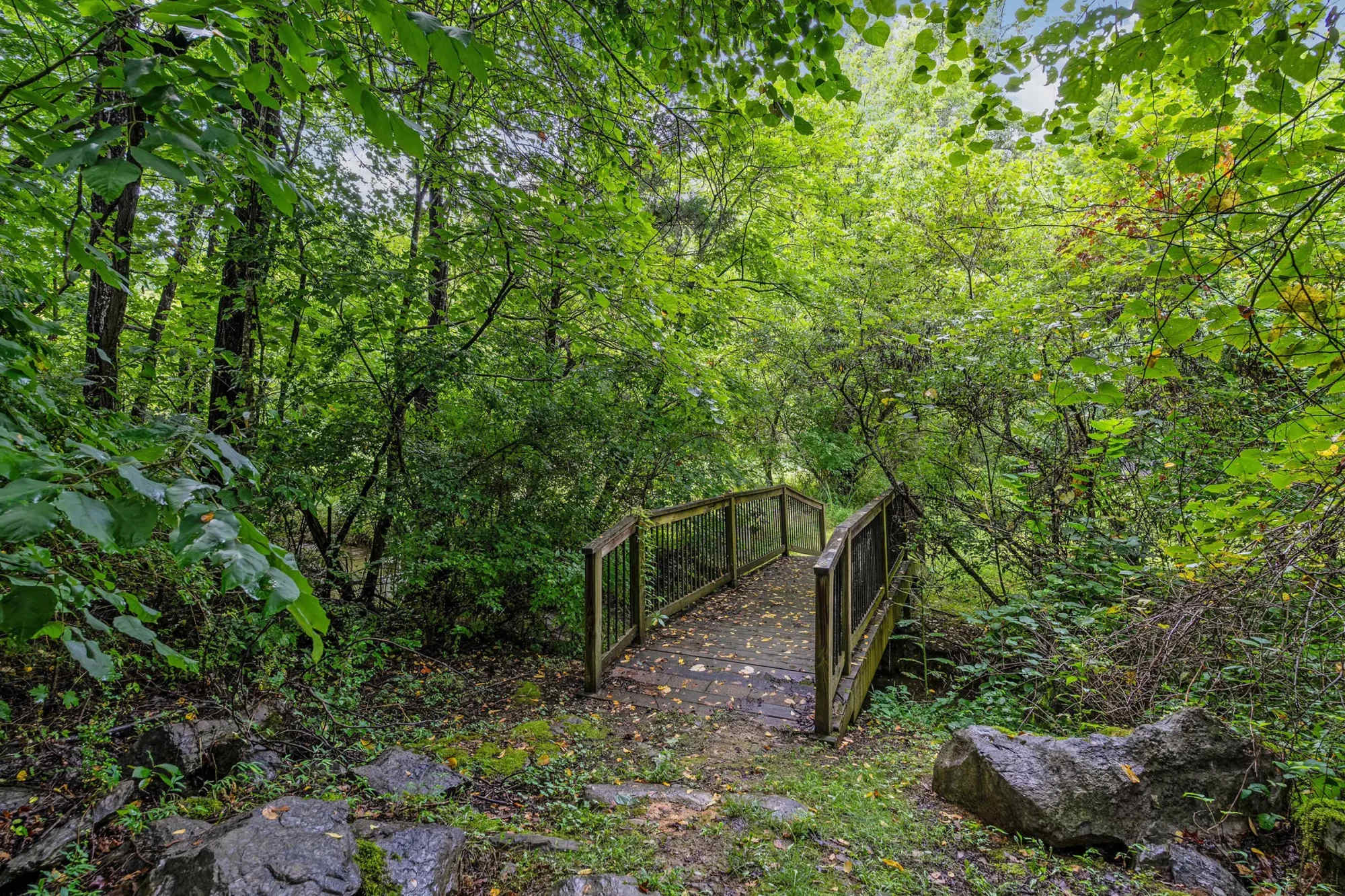 Brush Creek Meadows – photo 5