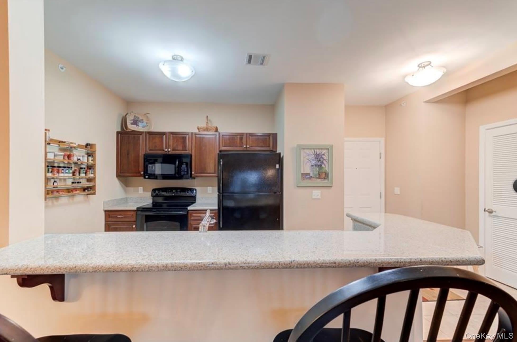 943 Tower Ridge Circle – photo 3