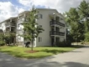 99 Mammoth Road – photo 1
