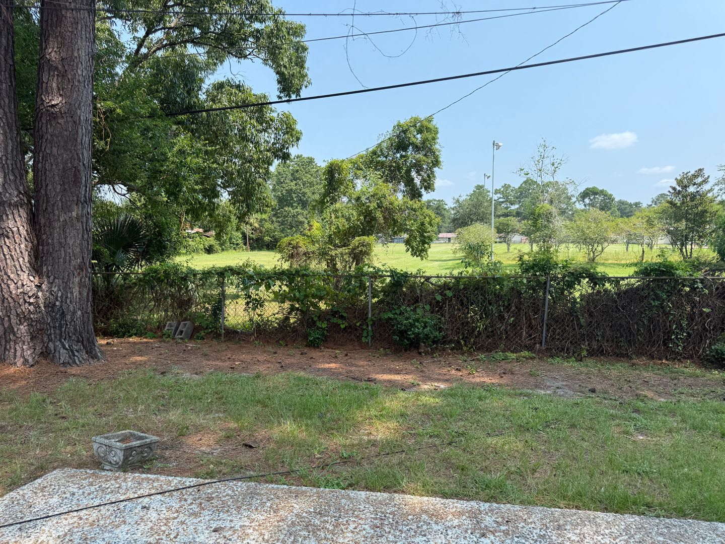 Now Available Updated 3 Bedrooms 2 Baths – photo 2