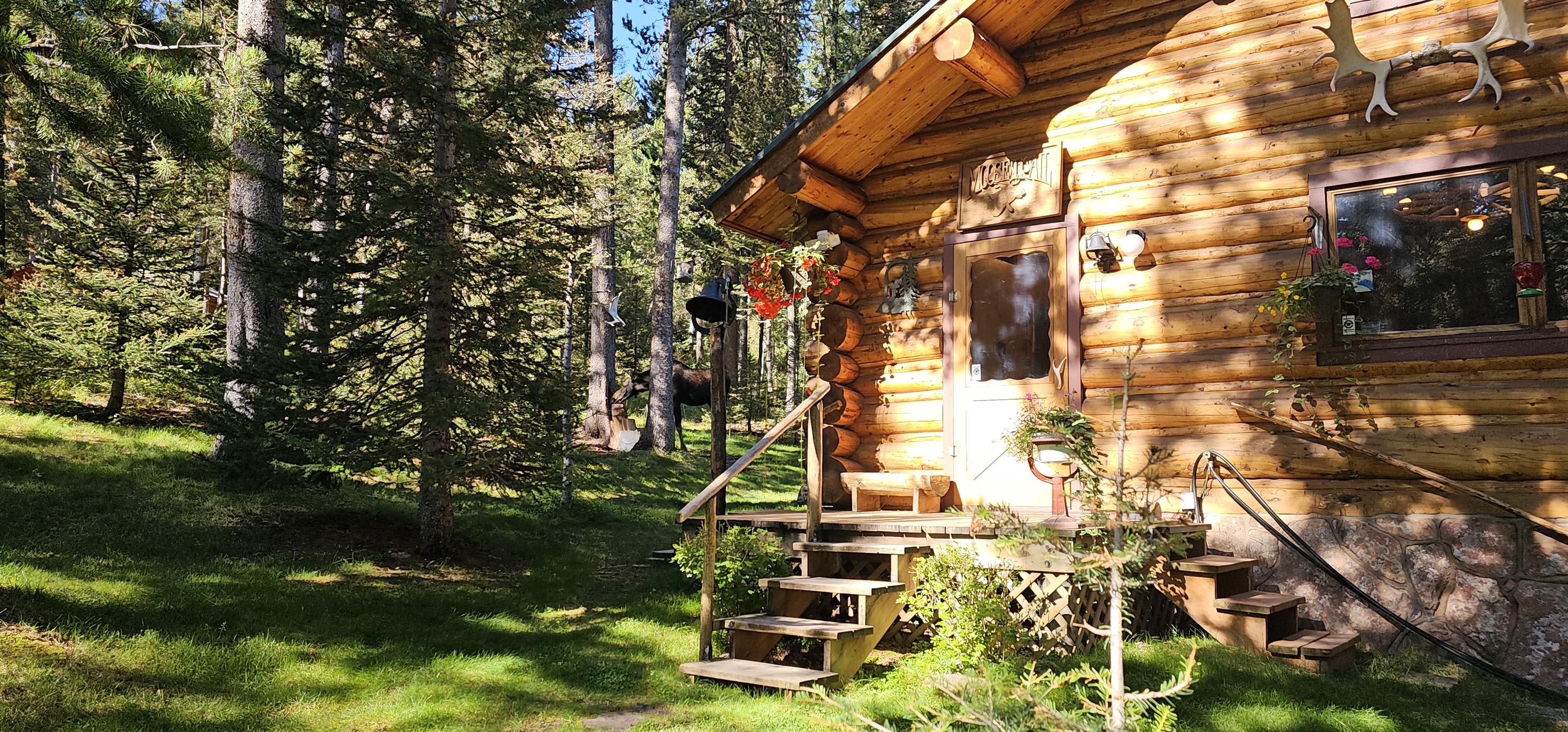 6550 Lodgepole Trail – photo 2