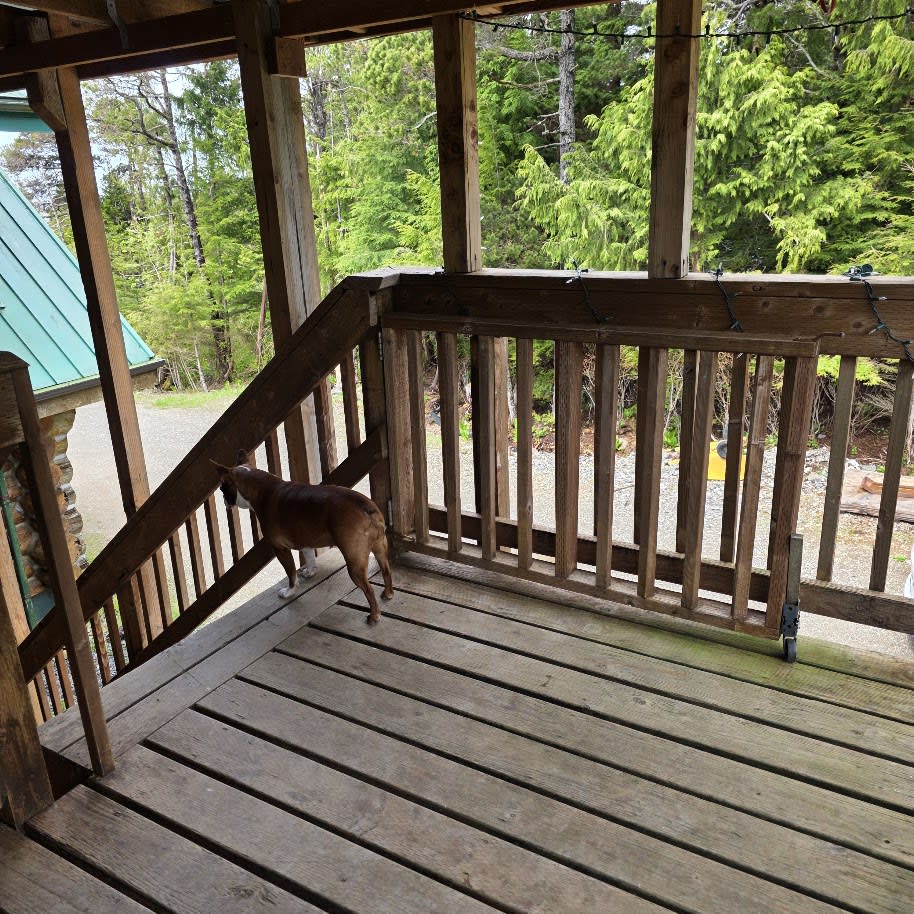 11184 Alderwood St. – photo 4