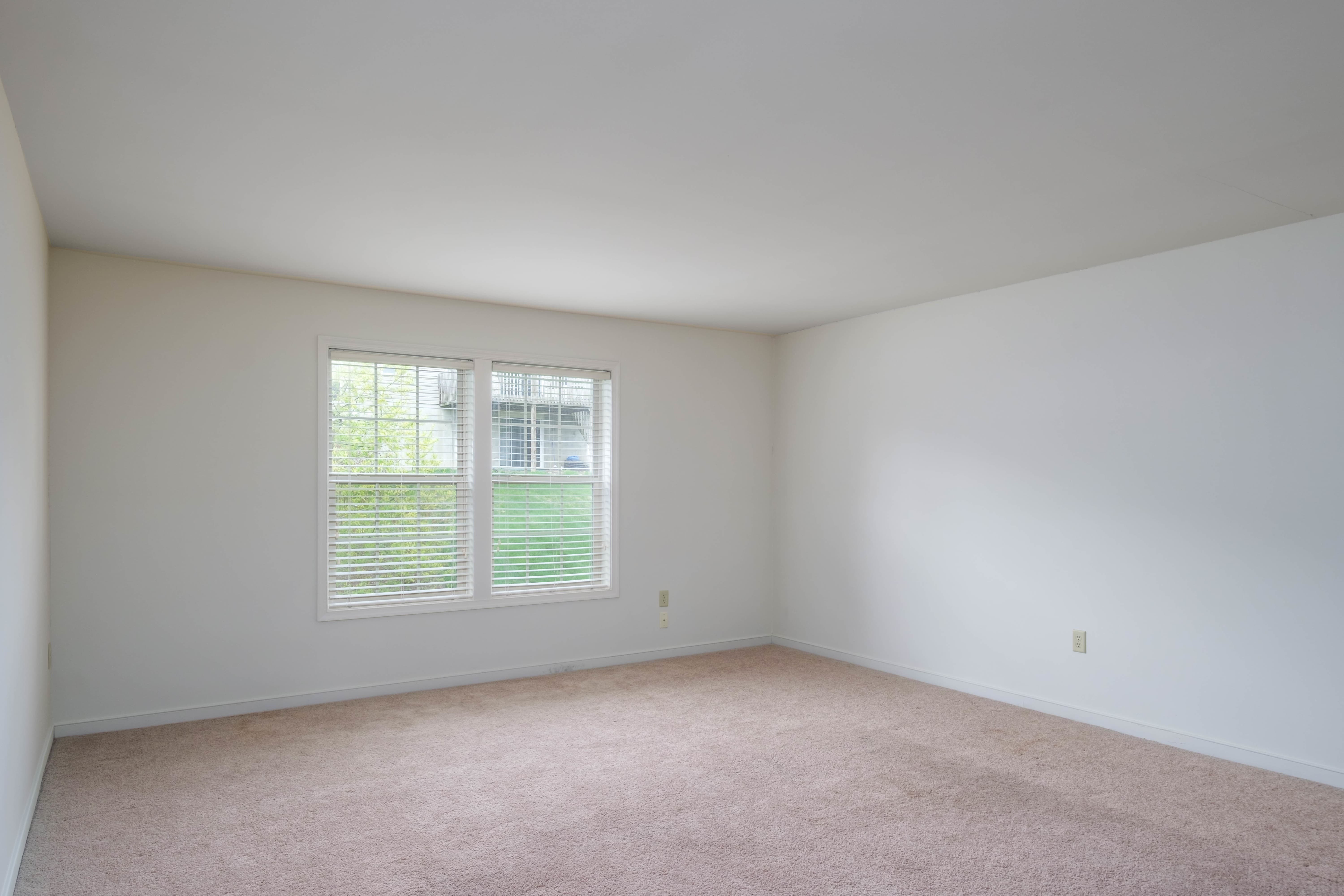 110 Clapton Court – photo 2