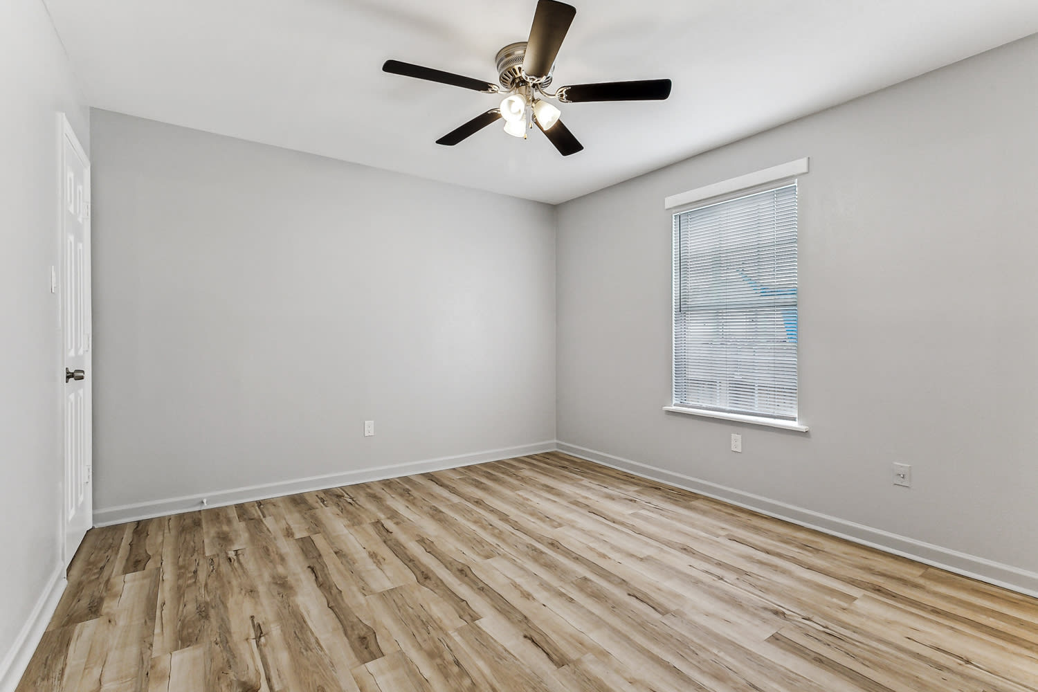 2016/2018 Pauger St – photo 5