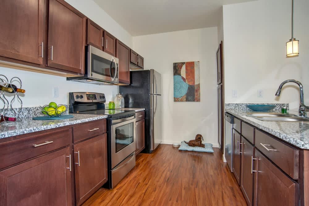 Ironhorse Apartments – photo 4
