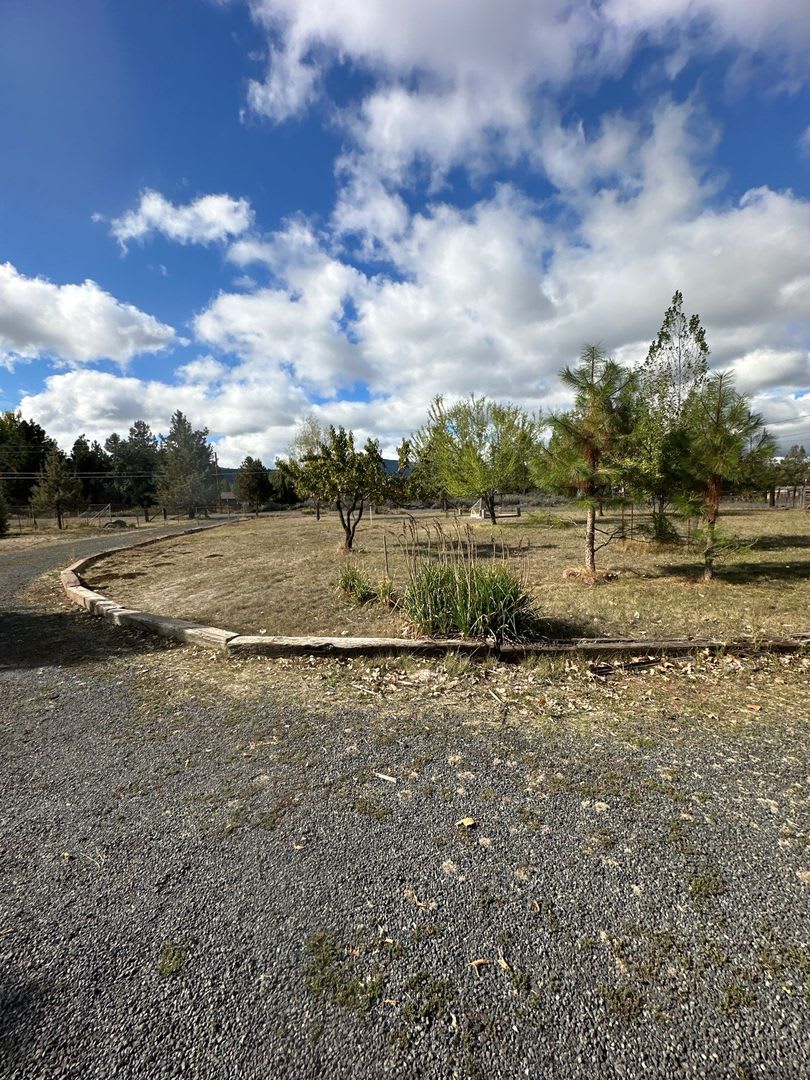 15517 Riveredge Rd – photo 5
