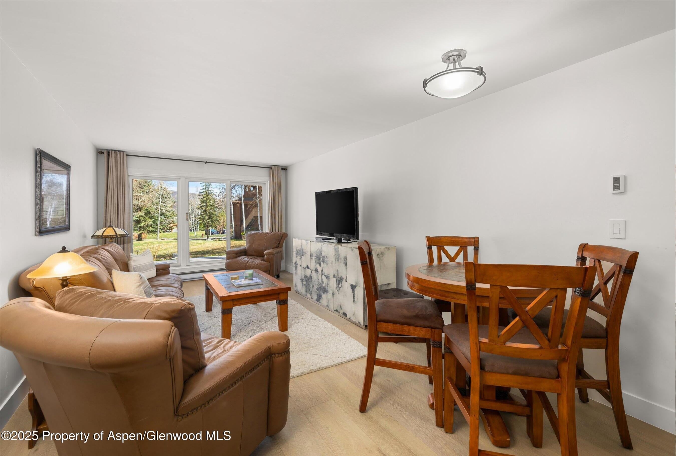 294 Snowmass Club Circle – photo 4