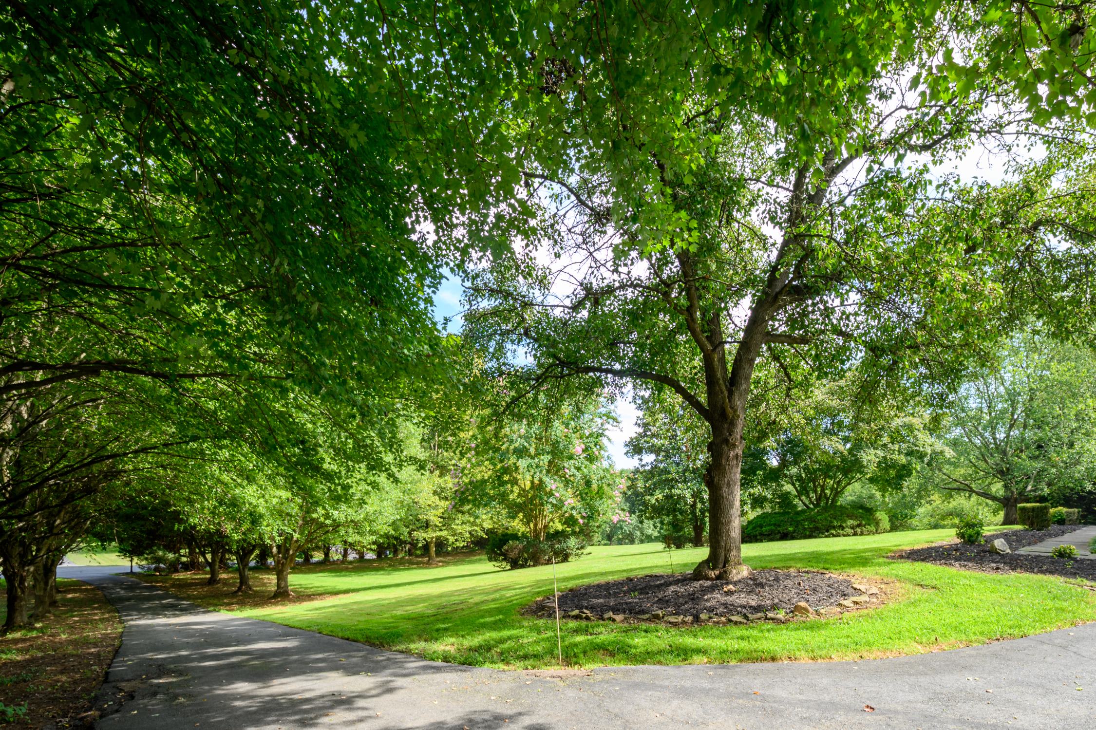4512 Rutherford Way – photo 4