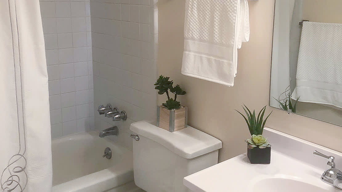 Woodstream Farms Apartments – photo 4