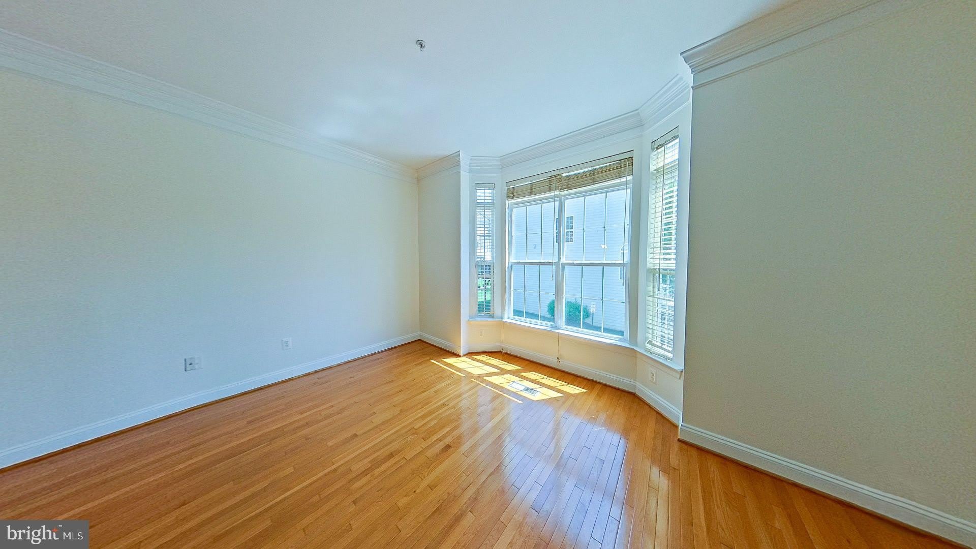 3905 CHELSEA PARK Lane – photo 4