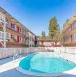 Lotus Apartments – photo 2