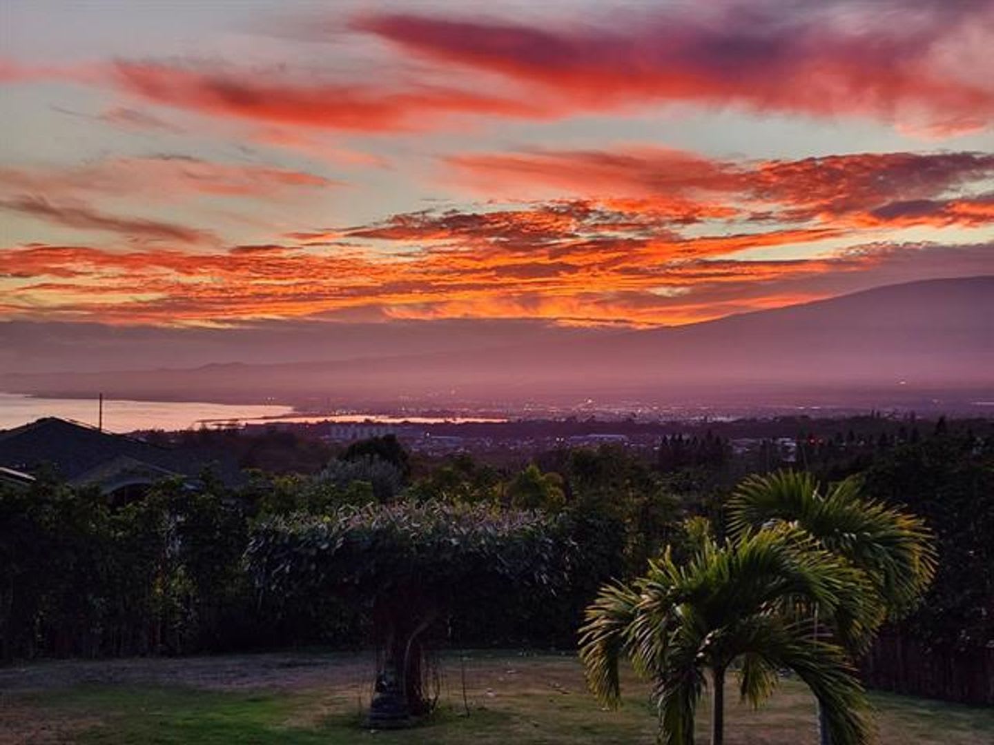 Magnificent Wailuku Country Estate – photo 2