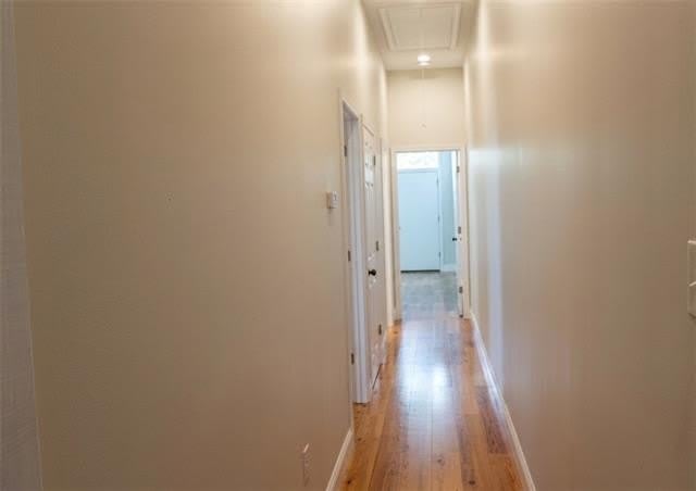 2421 LOUISA Street – photo 5